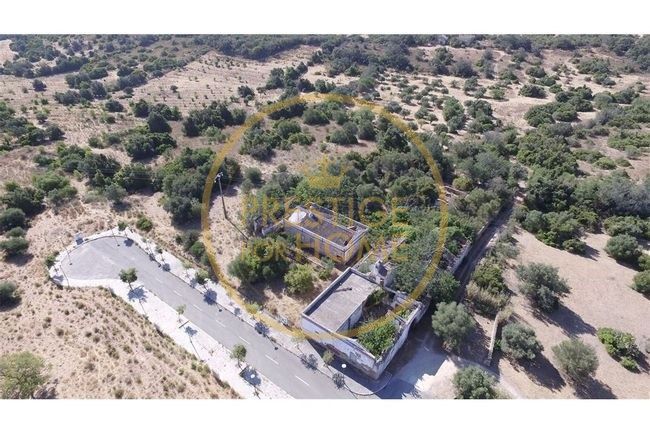 Quinta com cerca de 3979 m2 com área de construção de cerca de 1600m2