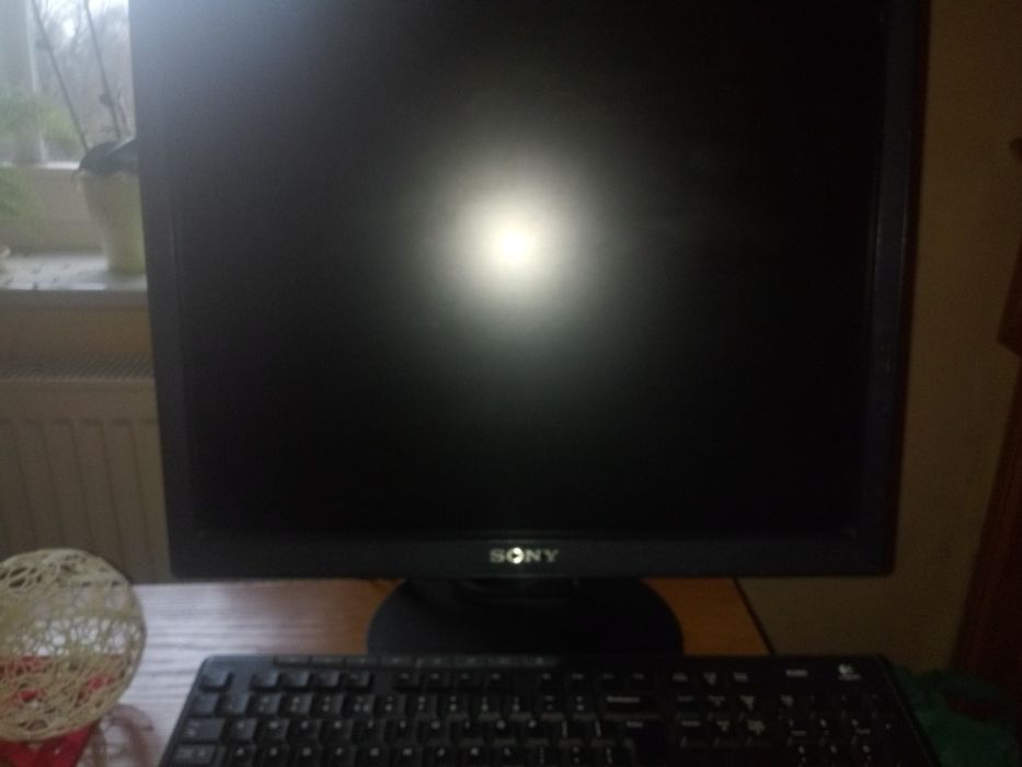 monitor sony dbst