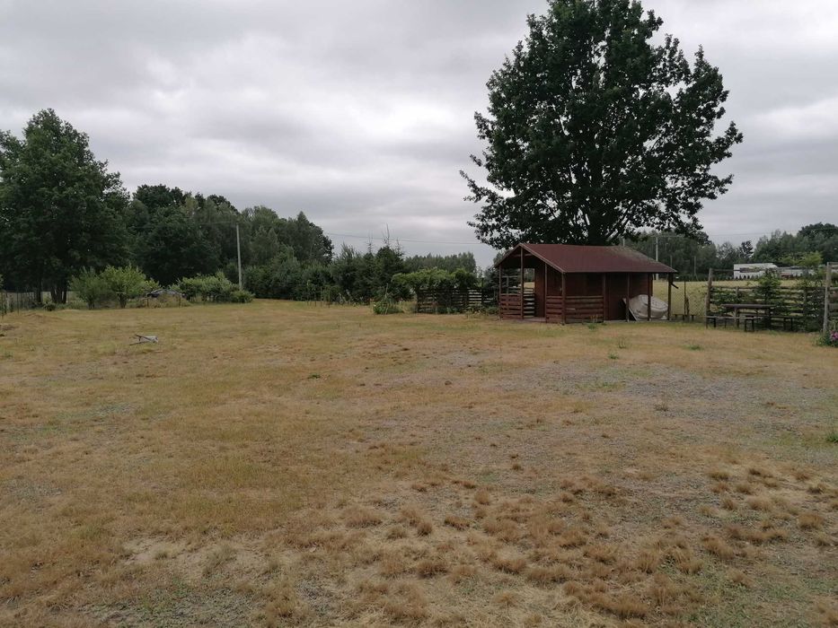 Działka z Warunkami Zabudowy | WZ | 11 664 m² | Aleksandrów | Jakubów | A2 | 290 000 zł