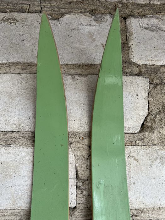 Лижі бігові ЛЬВІВ