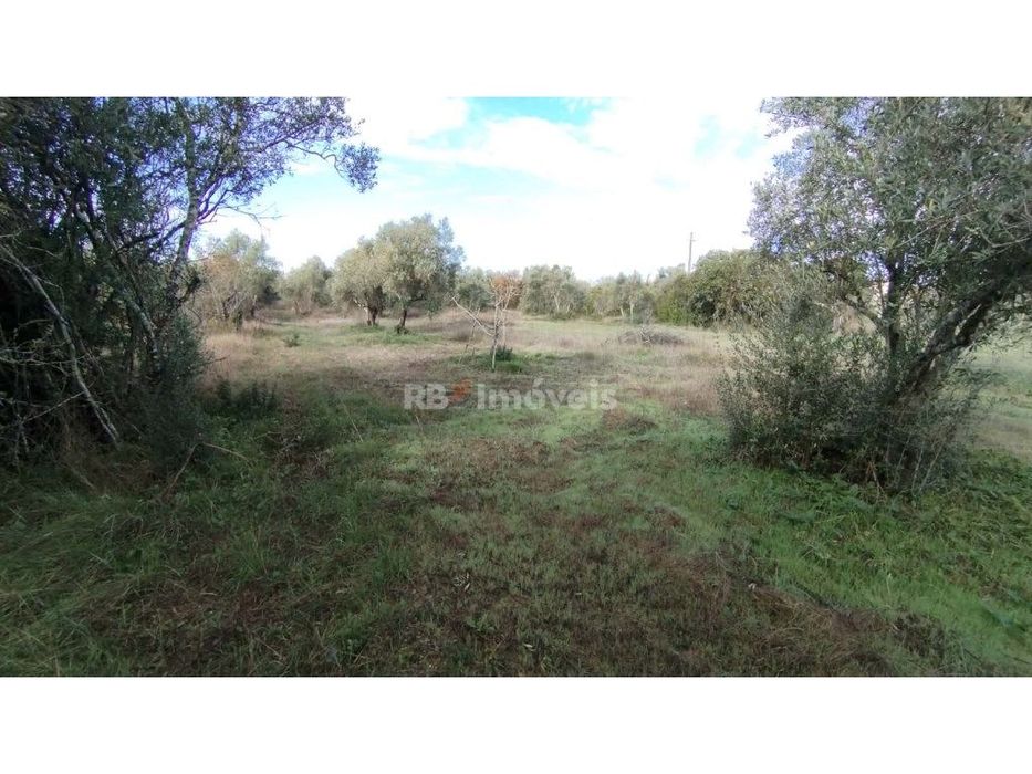 Terreno misto com 3080 m2, em Delongo