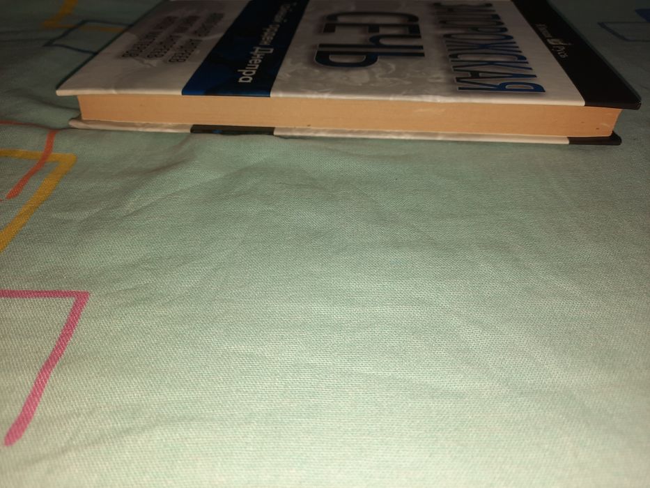 Запорожская Сечь. Тайный орден Днепра, Андреев