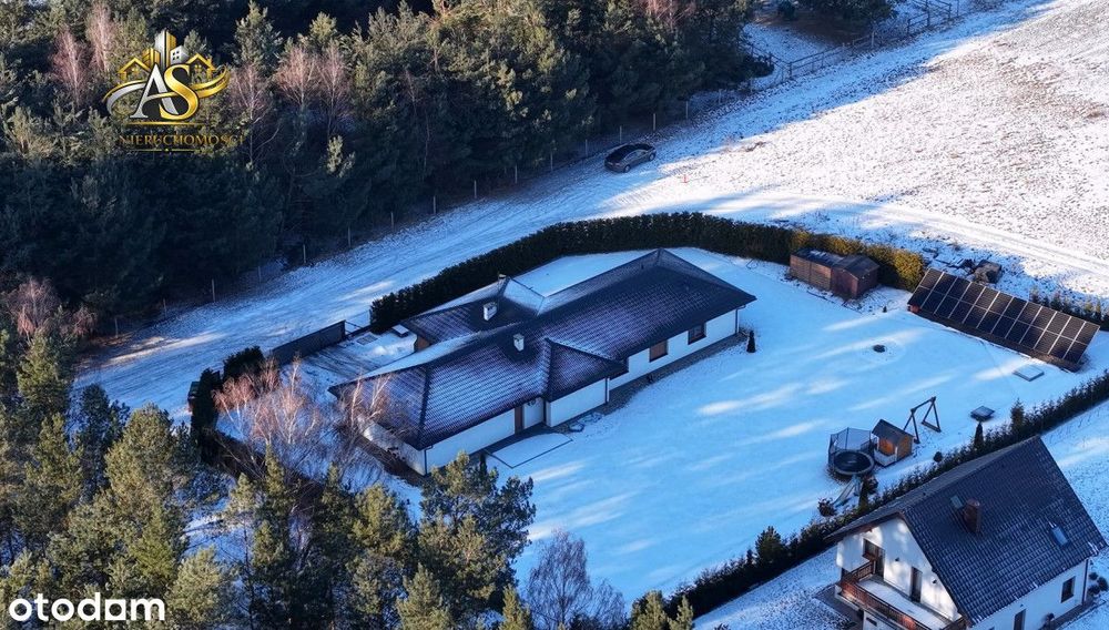 Ekskluzywna przestrzeń w harmonii z naturą