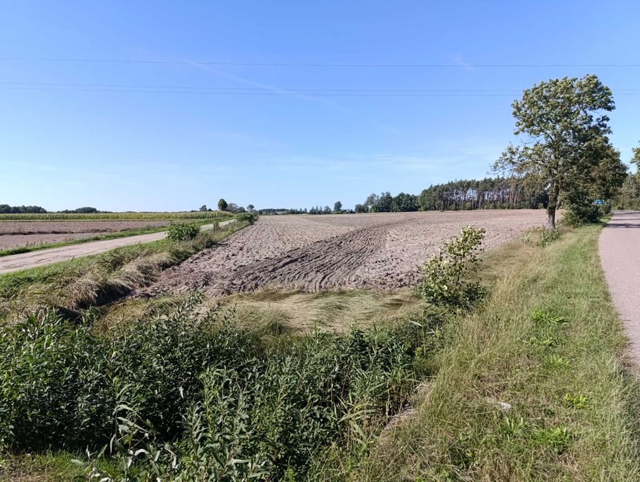 Sprzedam działkę rolną