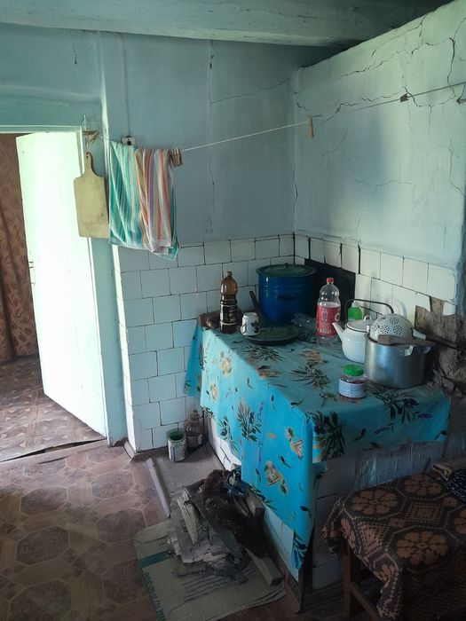 Продам будинок с.Коршів, з земельною ділянкою 25 сот