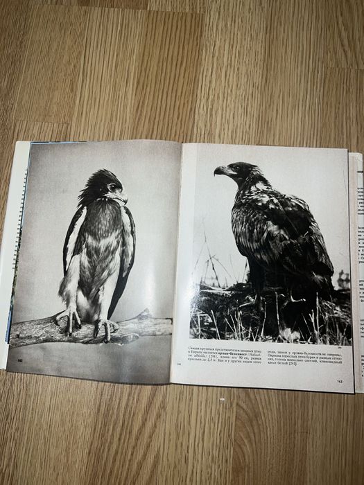 Ілюстрована енциклопедія птахів, Ян Ганзак, Прага, 1985