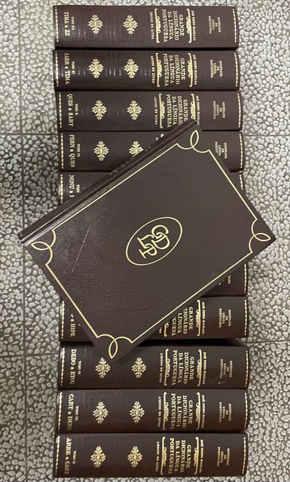 Dicionário de língua portuguesa