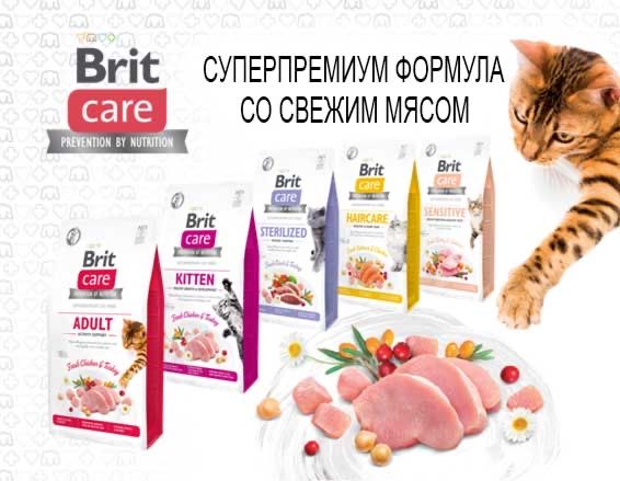 ЦІНИ В ОБЯВІ Бріт каре сухий корм для котів Brit care 7 кг
