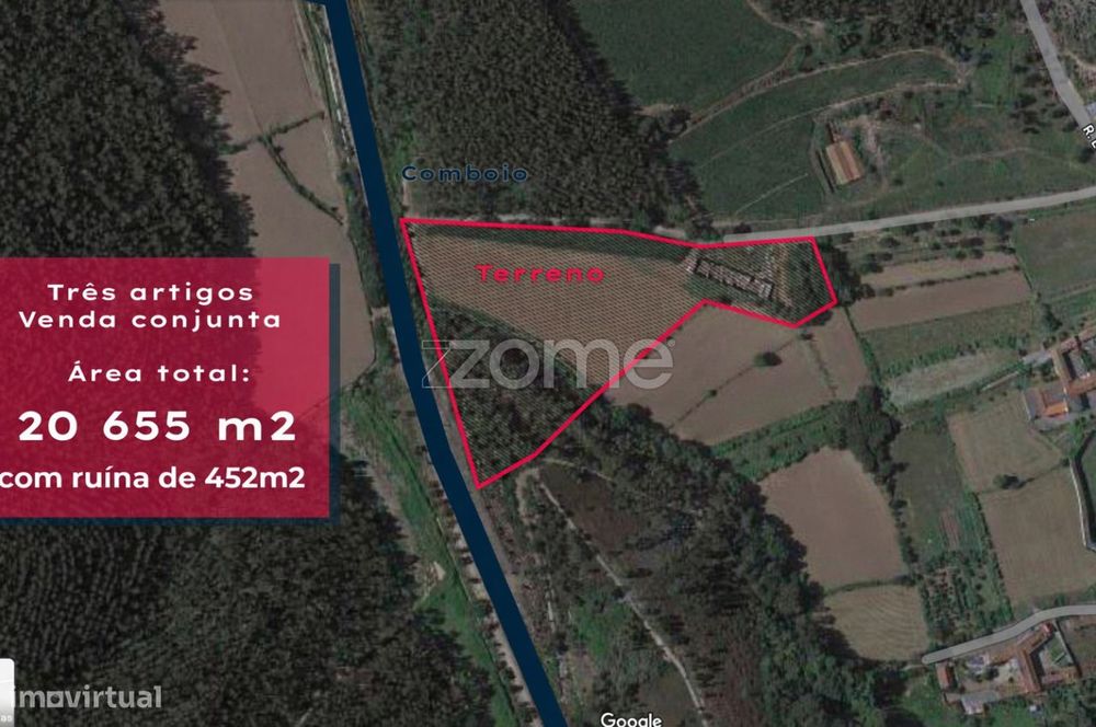 Terreno com 20.655m2 e Ruína com 452m2 em Covelas - Trofa