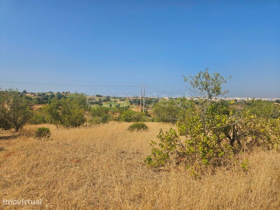 Terreno Rústico com 10.000 m² em Estômbar , Lagoa - Algarve