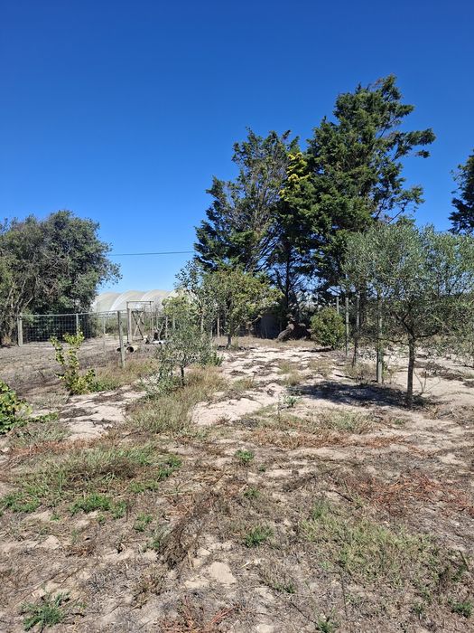 Terreno rústico com 1,5 hectares