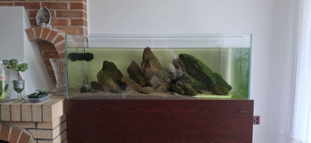 Zestaw Akwarium optiwhite 400L Szafka stelaż