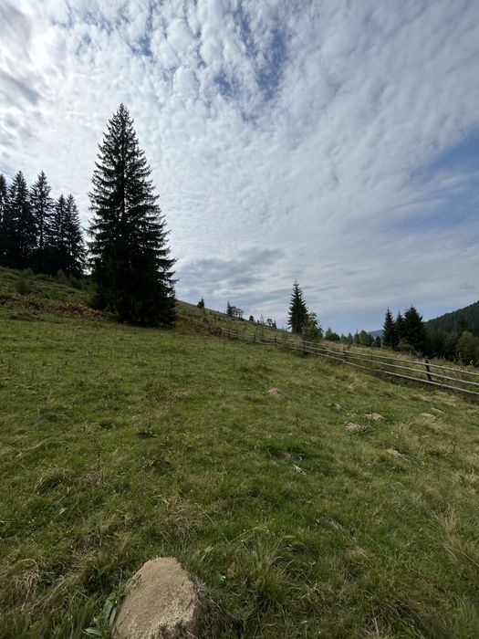 Продається 1.2 гектара з можливістю зміни цільового призначення