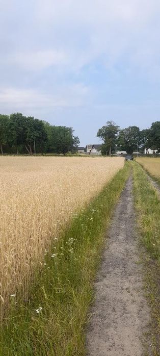 Działki budowlane #Hetmanice#