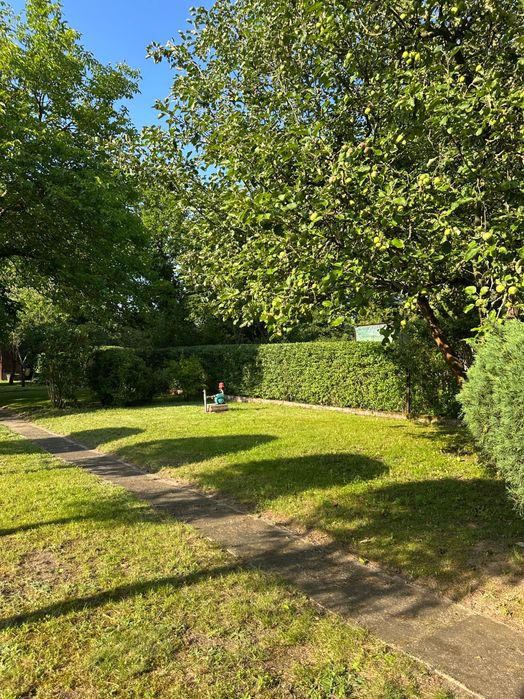Działka rekreacyjna ROD Toruń