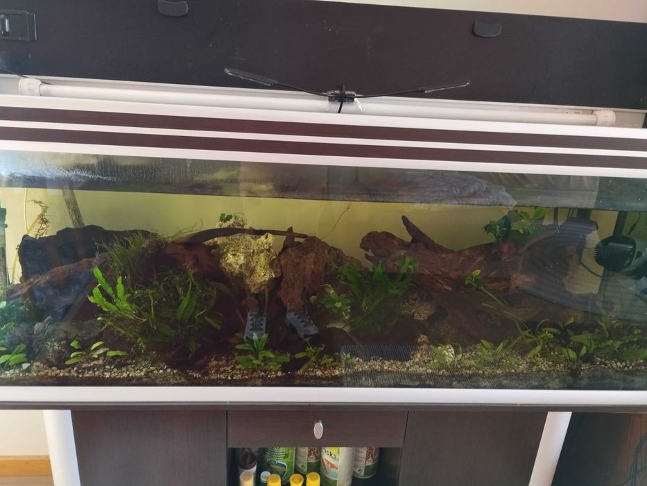 Descida preço Aquário aquatlantis com 1,5 metros