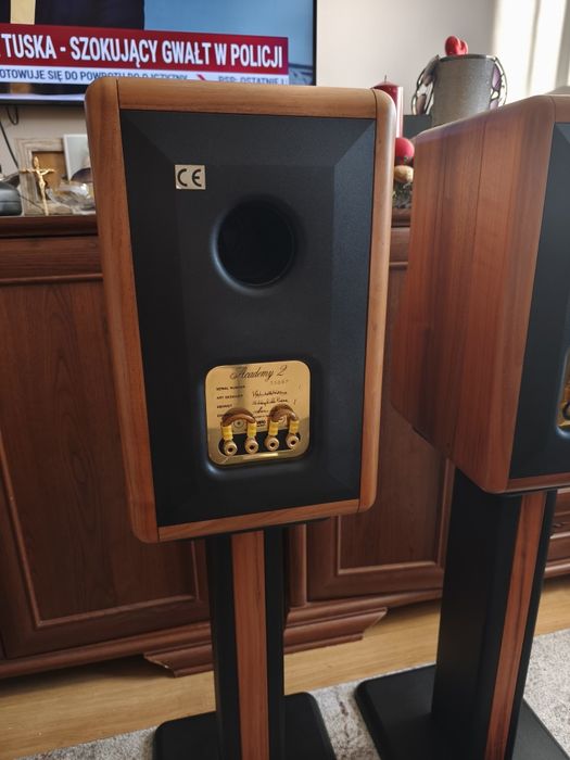 Chario Milenium 2 kolumny Scan speak