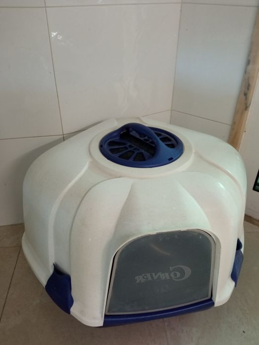 W C. de canto Grande  gatinhos