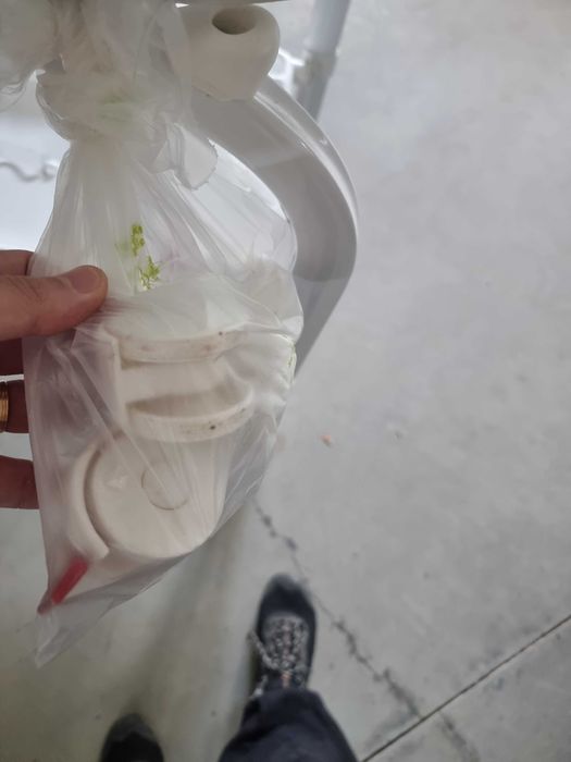 Banho, sanita e brinquedos de bebé.