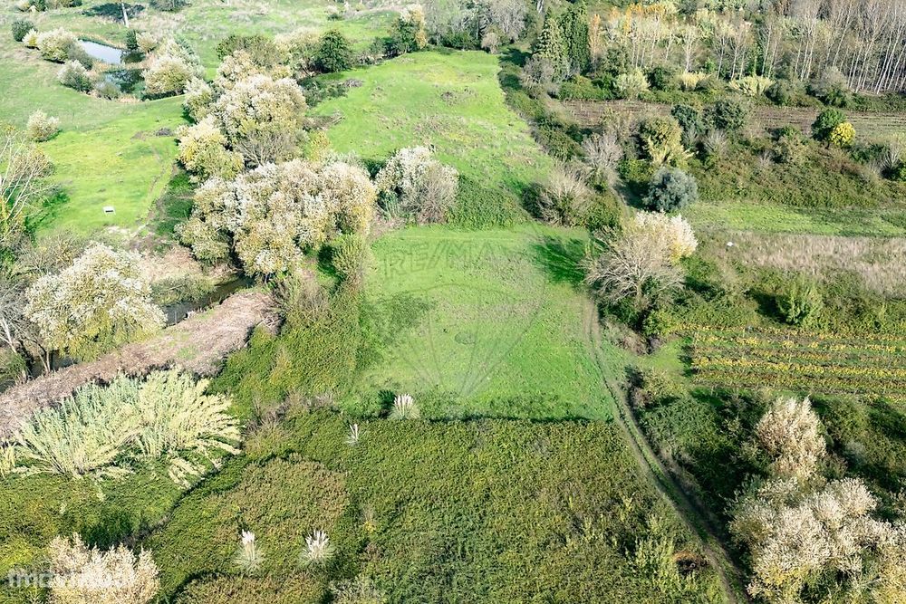 Terreno  para venda