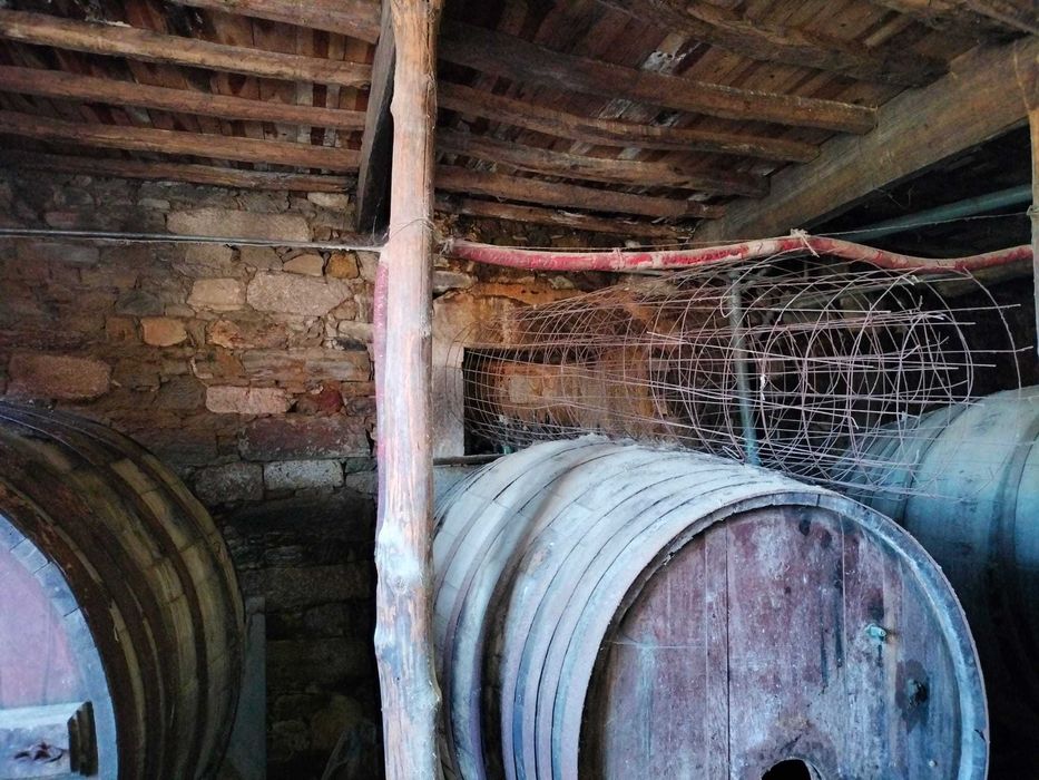 Pipas de Vinho em Madeira