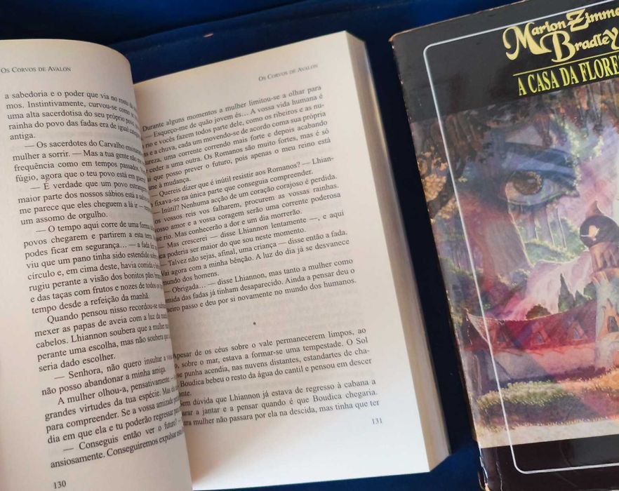 Lote 6 Livros Ciclo de Avalon Alargado - M. Zimmer Bradley