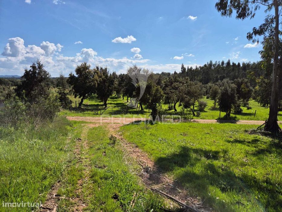 Terreno rústico no Alentejo – natureza, tranquilidade e potencial d...