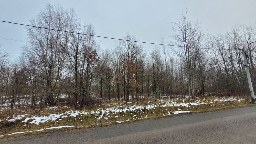 Działka 2500 m2  Bleszno Stradom