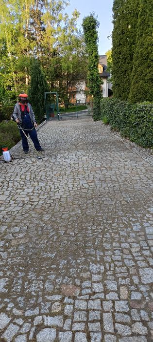 Koszenie trawy. Prace ogrodowe przycinanie , wycinka ,rebak gałęziowy