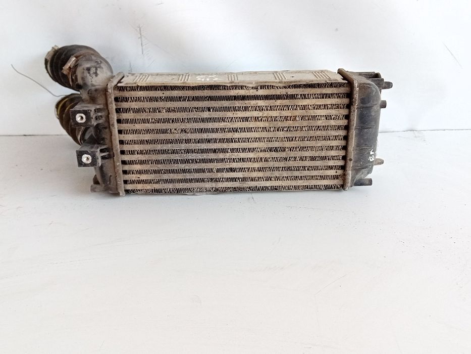 Radiador do intercooler PEUGEOT Partner II