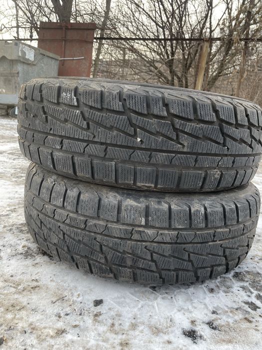 215.65.16 premiorri зима