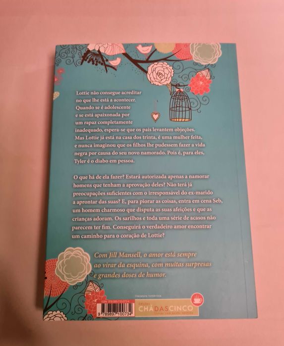 Acasos Felizes de Jill Mansell