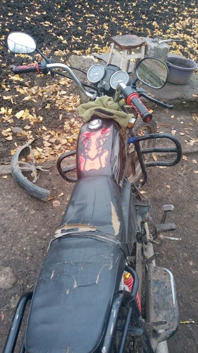 Альфа на повному ходу