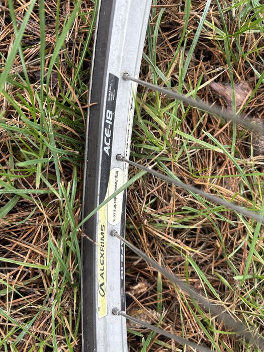 AUTHOR STRATOS XS Crossowy Shimano Alivio Special Edition