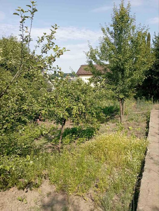 Продається дача с. Підгороднє.