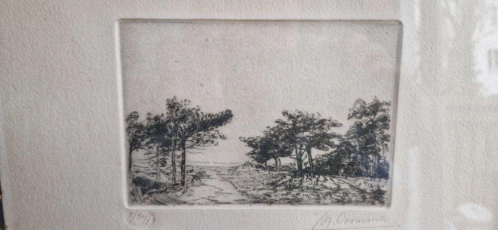 Litografia akwaforta pezjaż z drzewami aukcyjna sygnowana limitowana