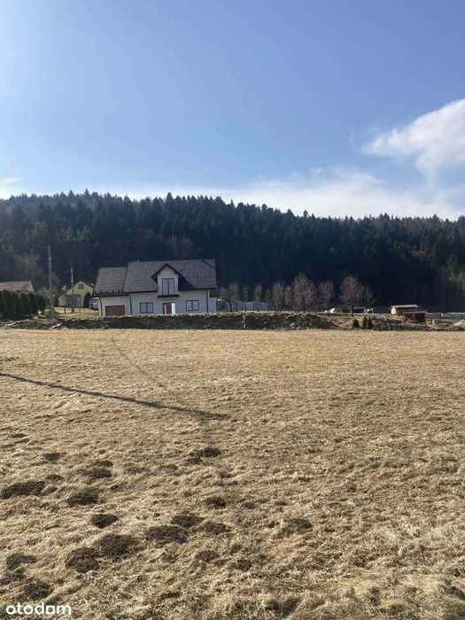 Działka budowlana 21,5 ara – widokowa, blisko lasu, media