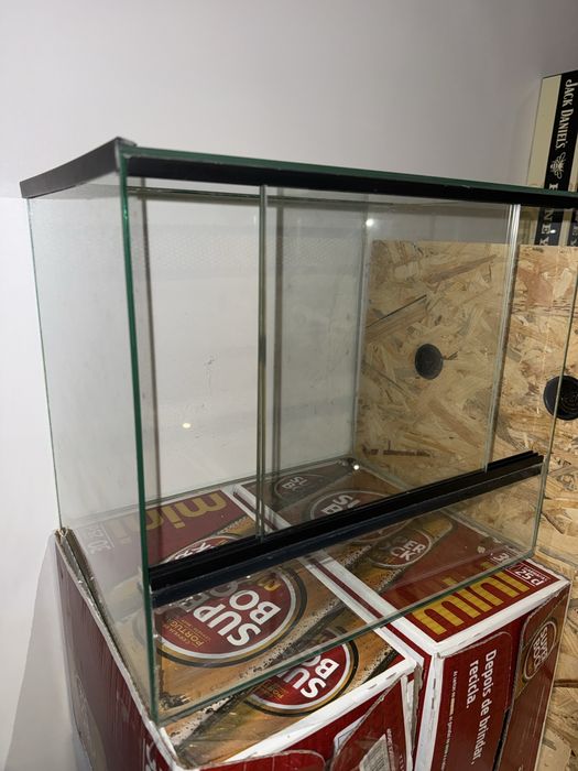 Aquário para réptil