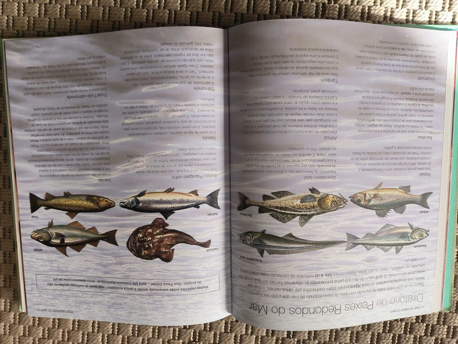 Livro de Receitas PEIXE E MARISCO