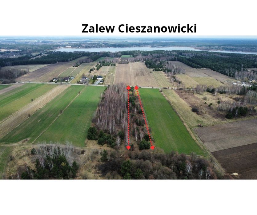 Działka Daniszewice, Zalew Cieszanowice