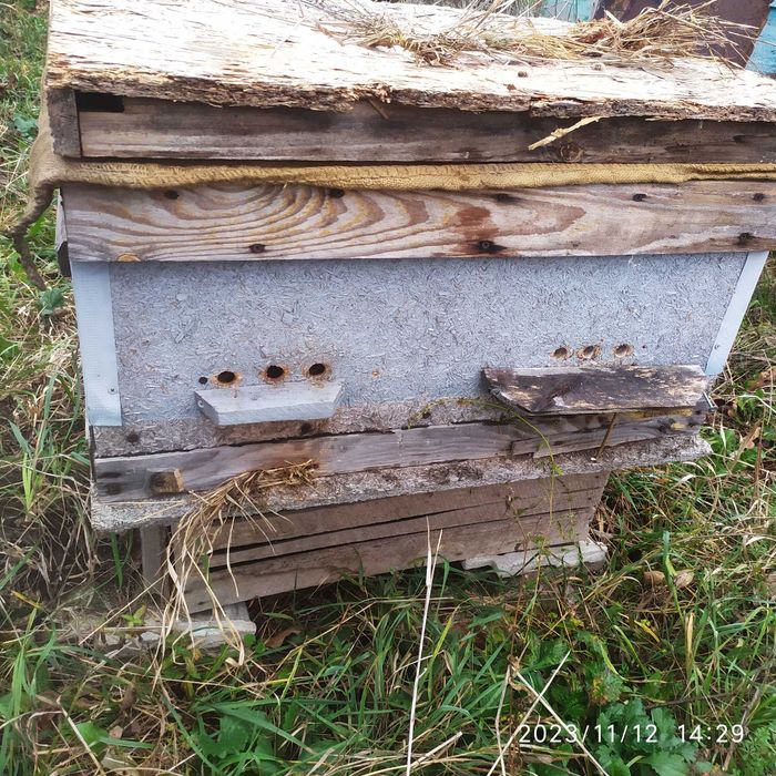 Вулики даданівські