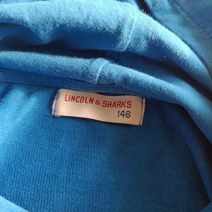 Bluza chłopięca Lincoln &sharks 146