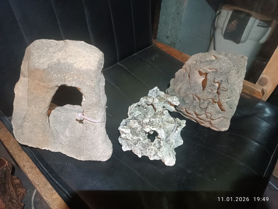 Kamienie Malawi koral rożne