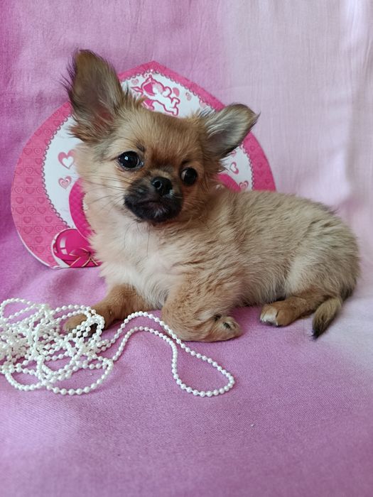 Любов з першого погляду!!!