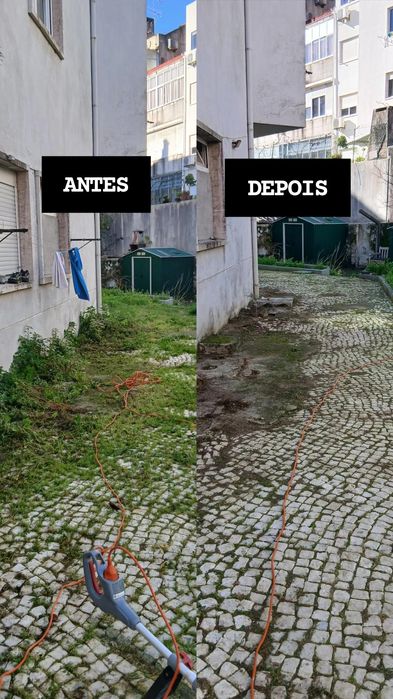 Jardineiro particular