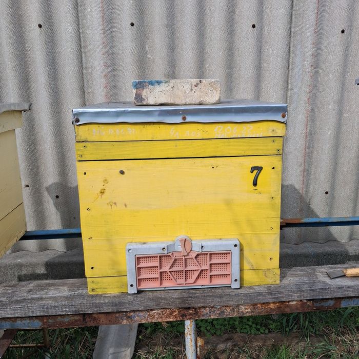 Вулики дерев'яні дадан на 10 /12 рамок