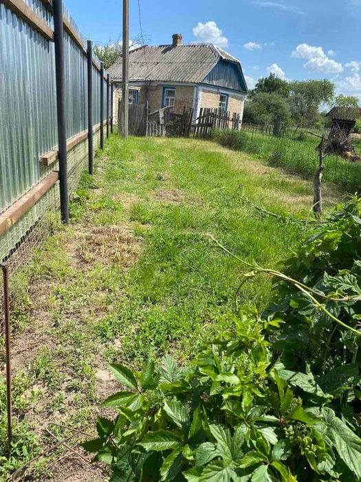 Продам  будинок в Рибцях ( Полтава).