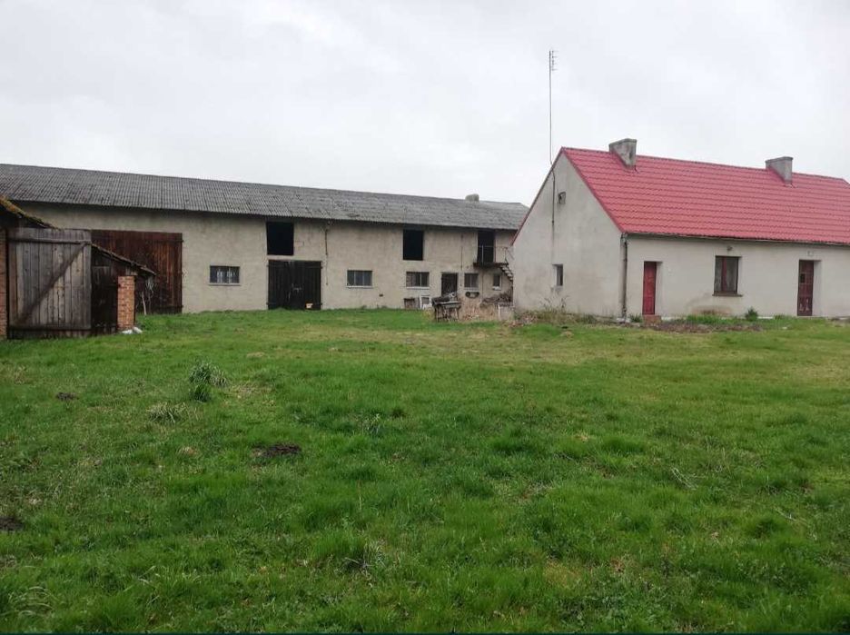 Gospodarstwo rolne 3 ha, zabudowania, obora, grunty orne