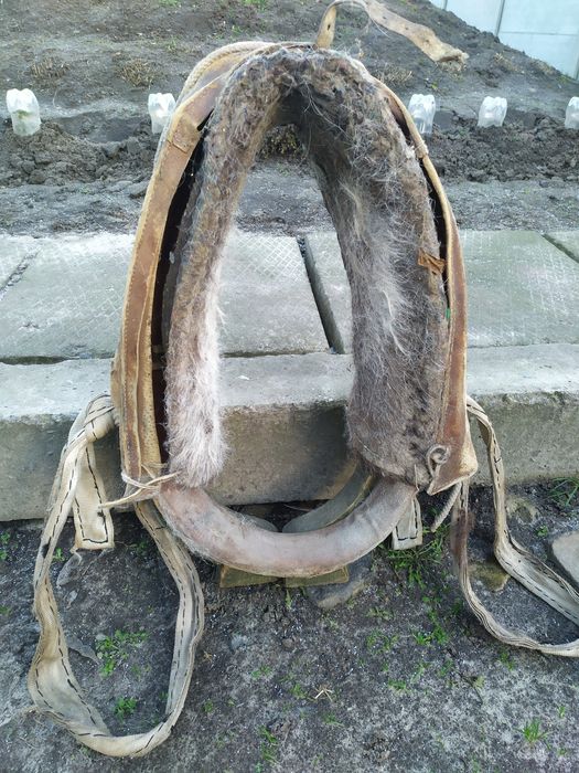 Продам хомут для коня