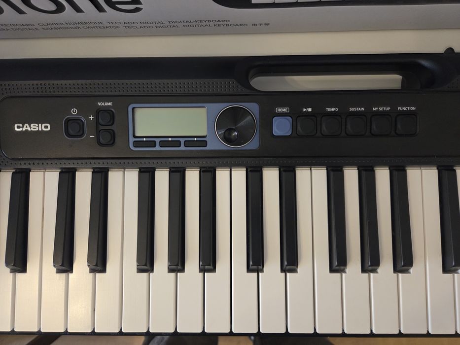 Синтезатор Casio casiotone ct-s300